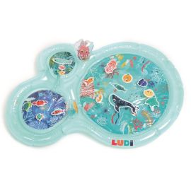 TAPIZ DE AGUA