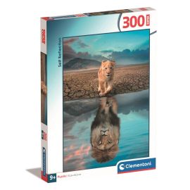 PUZZLE 300 SUPER  SELF REFLECTION
