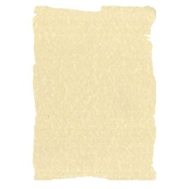 PAPEL PERGAMINO CHAMPAN A4