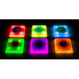 BASES CUADRADAS LED CON LIQUIDO - 6 UNIDADES