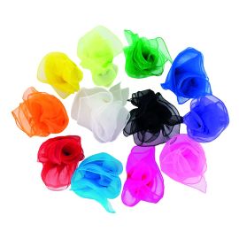 PAÑUELOS TRANSPARENTES- 12 UNIDADES
